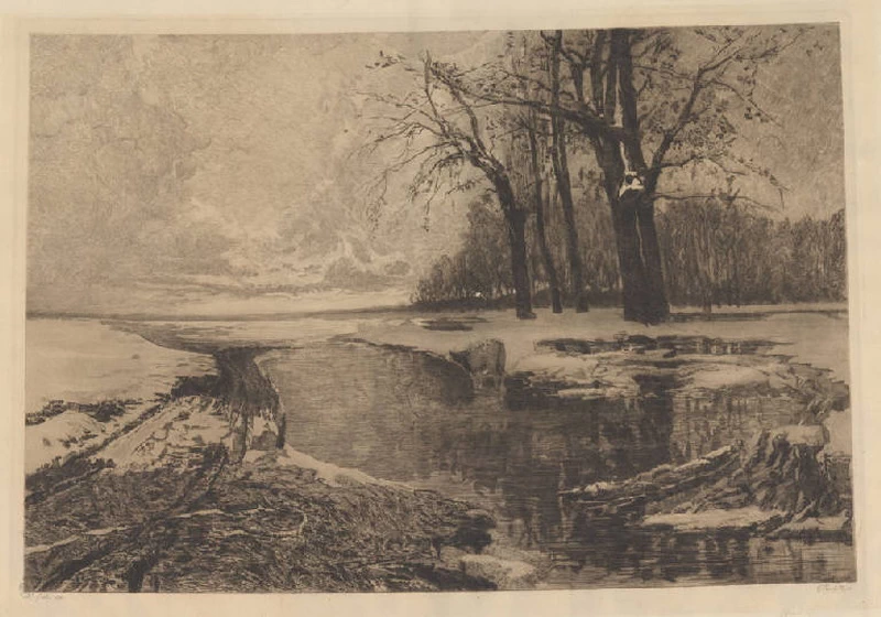 Paesaggio con fiume e mucca